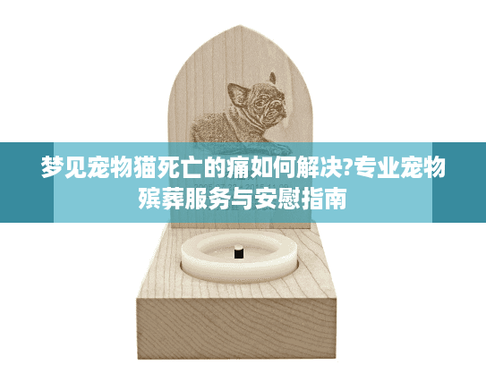 梦见宠物猫死亡的痛如何解决?专业宠物殡葬服务与安慰指南