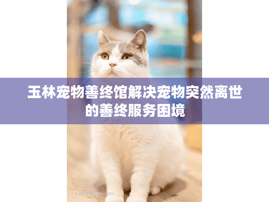 玉林宠物善终馆解决宠物突然离世的善终服务困境