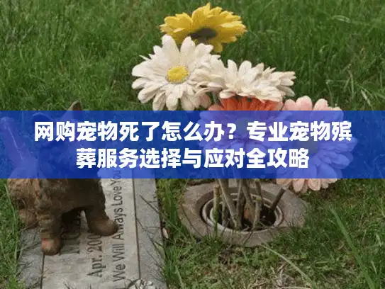 网购宠物死了怎么办？专业宠物殡葬服务选择与应对全攻略