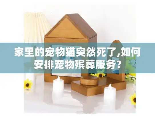 家里的宠物猫突然死了,如何安排宠物殡葬服务？