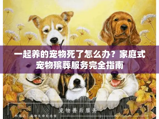 一起养的宠物死了怎么办?家庭式宠物殡葬服务完全指南 一起养的宠物死了怎么办?家庭式宠物殡葬服务完全指南