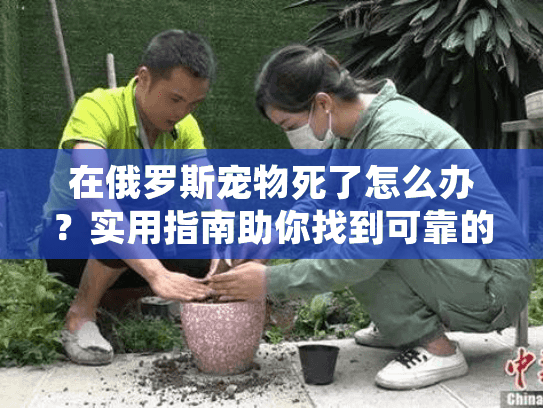 在俄罗斯宠物死了怎么办？实用指南助你找到可靠的宠物殡葬服务