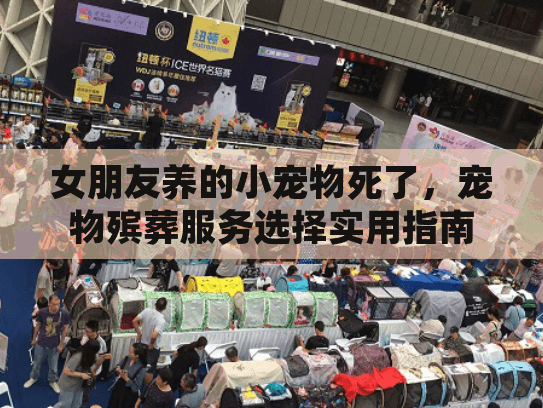 女朋友养的小宠物死了,宠物殡葬服务选择实用指南 女朋友养的小宠物死了,宠物殡葬服务选择实用指南