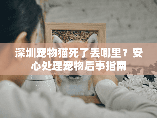 深圳宠物猫死了丢哪里？安心处理宠物后事指南