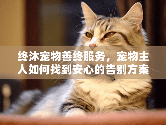 终沐宠物善终服务，宠物主人如何找到安心的告别方案？