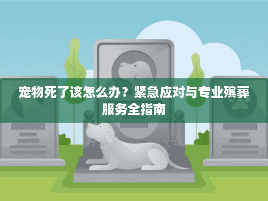 宠物死了该怎么办？紧急应对与专业殡葬服务全指南