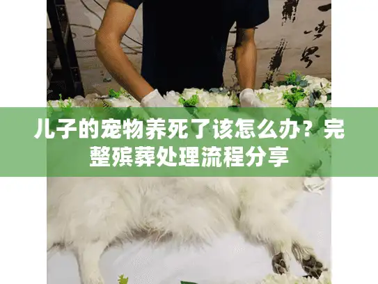儿子的宠物养死了该怎么办?完整殡葬处理流程分享 儿子的宠物养死了该怎么办?完整殡葬处理流程分享