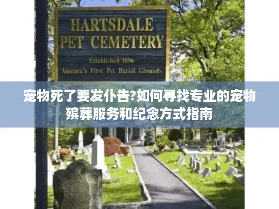 宠物死了要发仆告?如何寻找专业的宠物殡葬服务和纪念方式指南