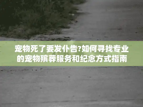 宠物死了要发仆告?如何寻找专业的宠物殡葬服务和纪念方式指南