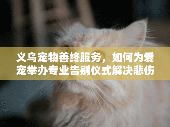 义乌宠物善终服务，如何为爱宠举办专业告别仪式解决悲伤？