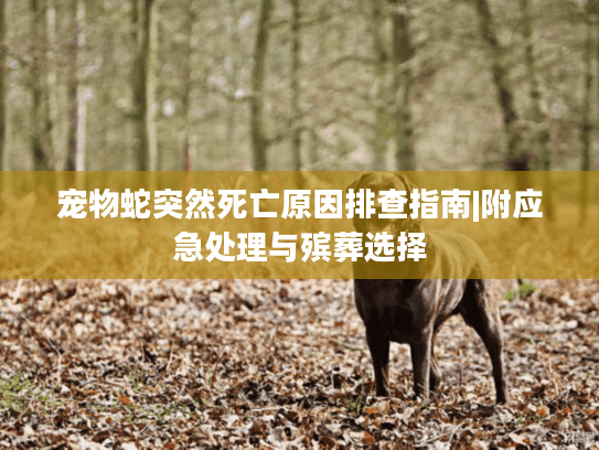 宠物蛇突然死亡原因排查指南|附应急处理与殡葬选择 宠物蛇突然死亡原因排查指南|附应急处理与殡葬选择