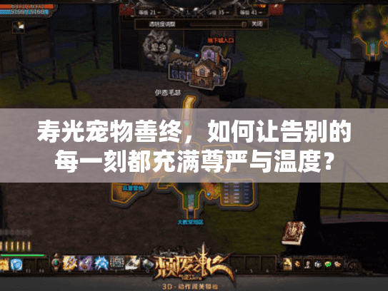 寿光宠物善终，如何让告别的每一刻都充满尊严与温度？