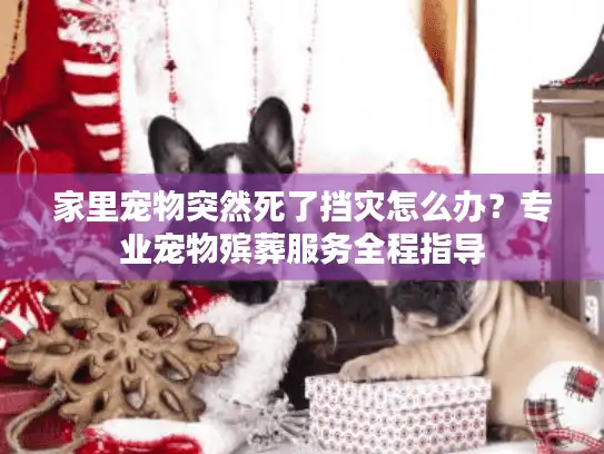 家里宠物突然死了挡灾怎么办？专业宠物殡葬服务全程指导