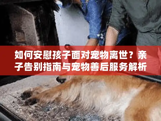 如何安慰孩子面对宠物离世？亲子告别指南与宠物善后服务解析