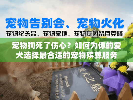 宠物狗死了伤心?如何为你的爱犬选择最合适的宠物殡葬服务 宠物狗死了伤心?如何为你的爱犬选择最合适的宠物殡葬服务