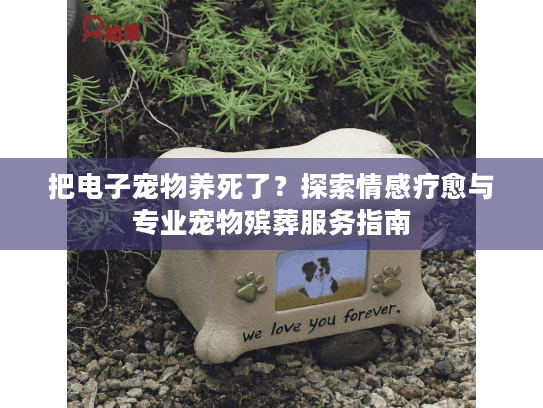 把电子宠物养死了？探索情感疗愈与专业宠物殡葬服务指南