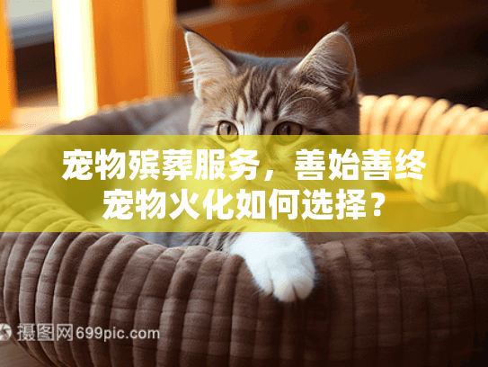 宠物殡葬服务，善始善终宠物火化如何选择？