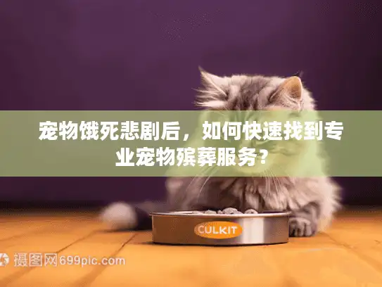 宠物饿死悲剧后，如何快速找到专业宠物殡葬服务？