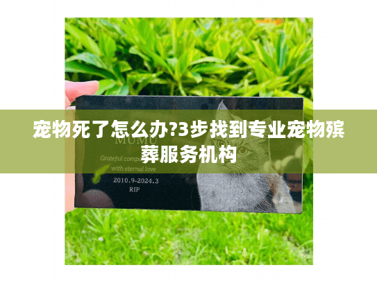 宠物死了怎么办?3步找到专业宠物殡葬服务机构