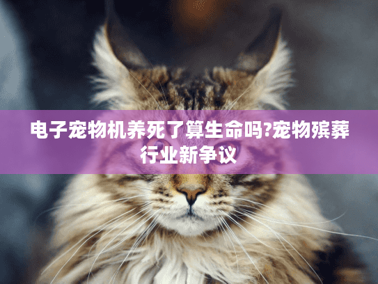 电子宠物机养死了算生命吗?宠物殡葬行业新争议 电子宠物机养死了算生命吗?宠物殡葬行业新争议