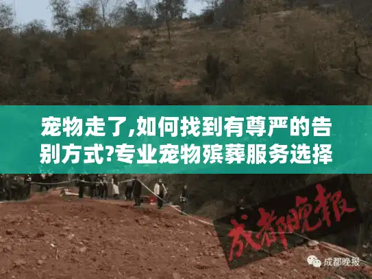 宠物走了,如何找到有尊严的告别方式?专业宠物殡葬服务选择指南