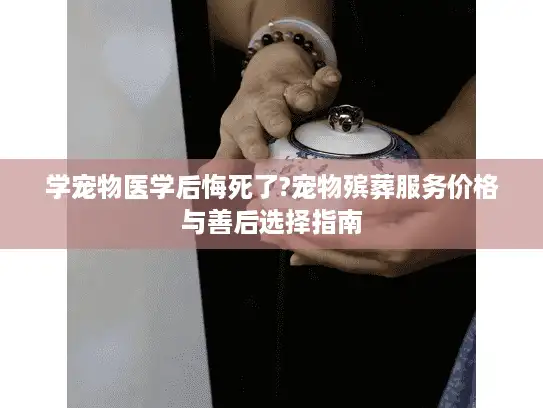 学宠物医学后悔死了?宠物殡葬服务价格与善后选择指南