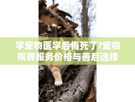 学宠物医学后悔死了?宠物殡葬服务价格与善后选择指南