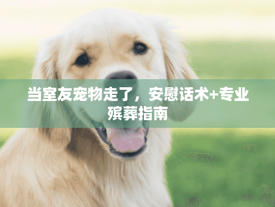 当室友宠物走了，安慰话术+专业殡葬指南