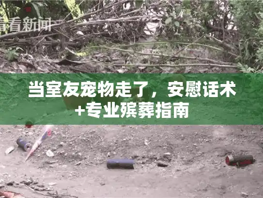 当室友宠物走了，安慰话术+专业殡葬指南