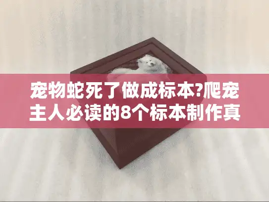 宠物蛇死了做成标本?爬宠主人必读的8个标本制作真相