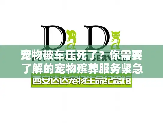 宠物被车压死了?你需要了解的宠物殡葬服务紧急指南 宠物被车压死了?你需要了解的宠物殡葬服务紧急指南