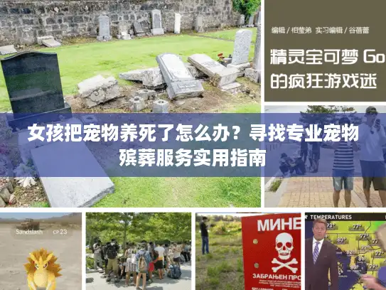 女孩把宠物养死了怎么办?寻找专业宠物殡葬服务实用指南 女孩把宠物养死了怎么办?寻找专业宠物殡葬服务实用指南
