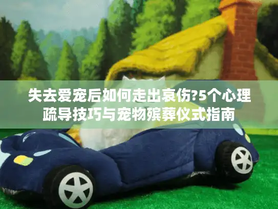 失去爱宠后如何走出哀伤?5个心理疏导技巧与宠物殡葬仪式指南