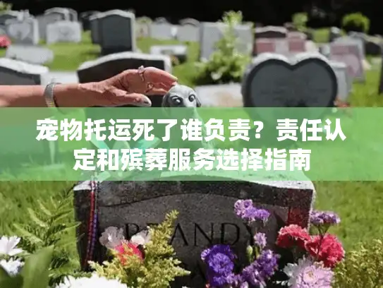 宠物托运死了谁负责?责任认定和殡葬服务选择指南 宠物托运死了谁负责?责任认定和殡葬服务选择指南