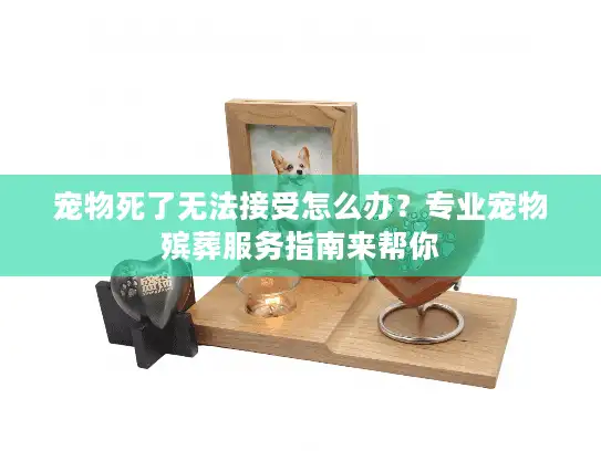 宠物死了无法接受怎么办?专业宠物殡葬服务指南来帮你 宠物死了无法接受怎么办?专业宠物殡葬服务指南来帮你