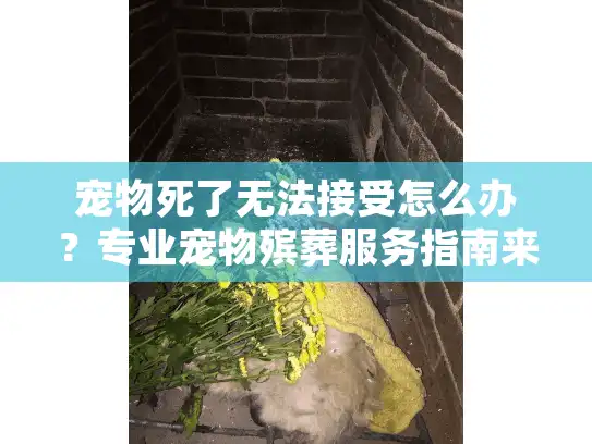 宠物死了无法接受怎么办?专业宠物殡葬服务指南来帮你 宠物死了无法接受怎么办?专业宠物殡葬服务指南来帮你