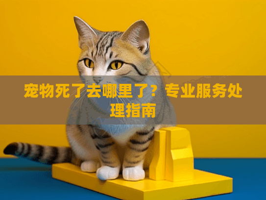 宠物死了去哪里了？专业服务处理指南
