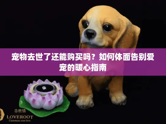 宠物去世了还能购买吗？如何体面告别爱宠的暖心指南