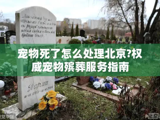 宠物死了怎么处理北京?权威宠物殡葬服务指南 宠物死了怎么处理北京?权威宠物殡葬服务指南