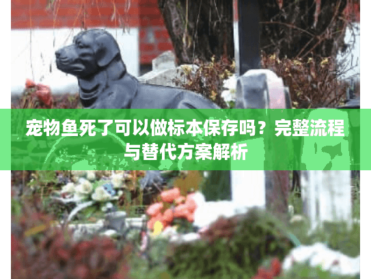 宠物鱼死了可以做标本保存吗？完整流程与替代方案解析