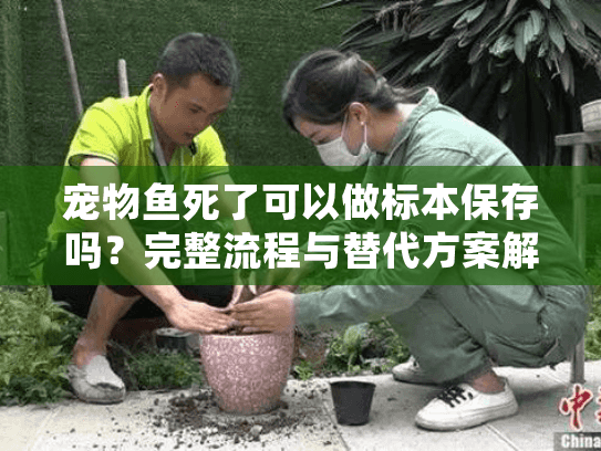 宠物鱼死了可以做标本保存吗？完整流程与替代方案解析