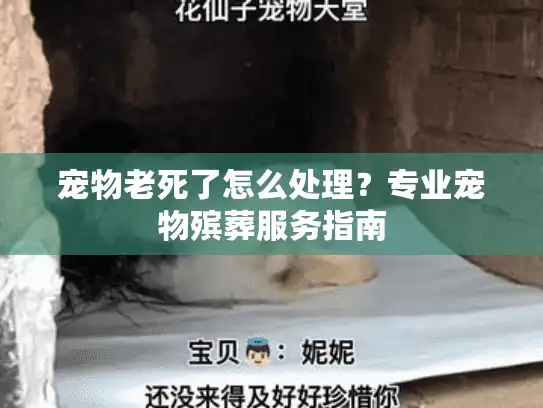 宠物老死了怎么处理?专业宠物殡葬服务指南 宠物老死了怎么处理?专业宠物殡葬服务指南