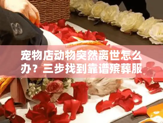 宠物店动物突然离世怎么办？三步找到靠谱殡葬服务