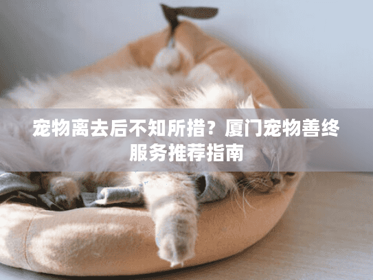 宠物离去后不知所措？厦门宠物善终服务推荐指南