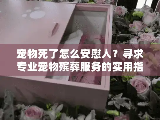 宠物死了怎么安慰人？寻求专业宠物殡葬服务的实用指南