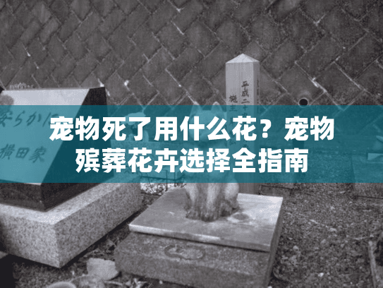 宠物死了用什么花？宠物殡葬花卉选择全指南