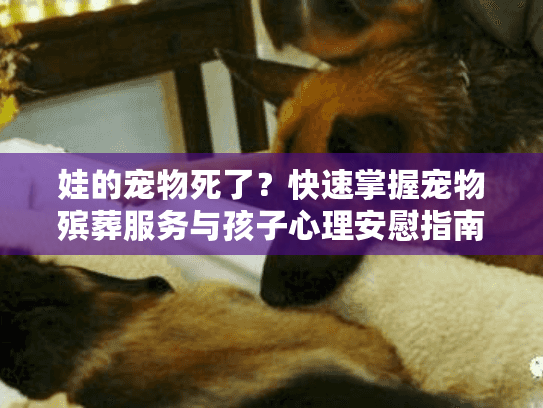 娃的宠物死了?快速掌握宠物殡葬服务与孩子心理安慰指南 娃的宠物死了?快速掌握宠物殡葬服务与孩子心理安慰指南