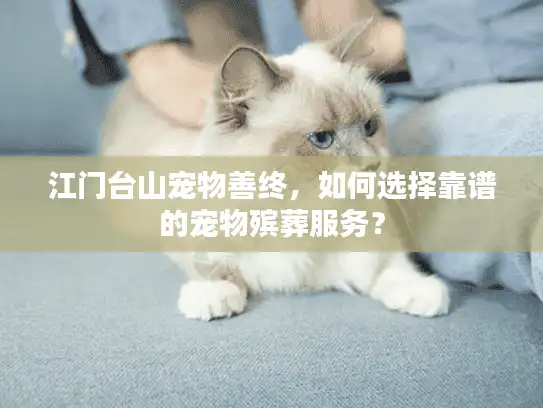 江门台山宠物善终,如何选择靠谱的宠物殡葬服务? 江门台山宠物善终,如何选择靠谱的宠物殡葬服务?