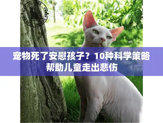 宠物死了安慰孩子？10种科学策略帮助儿童走出悲伤