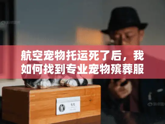 航空宠物托运死了后,我如何找到专业宠物殡葬服务? 航空宠物托运死了后,我如何找到专业宠物殡葬服务?